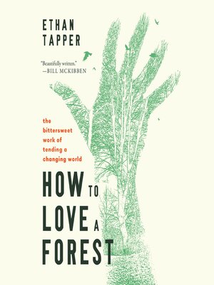 cover image of How to Love a Forest